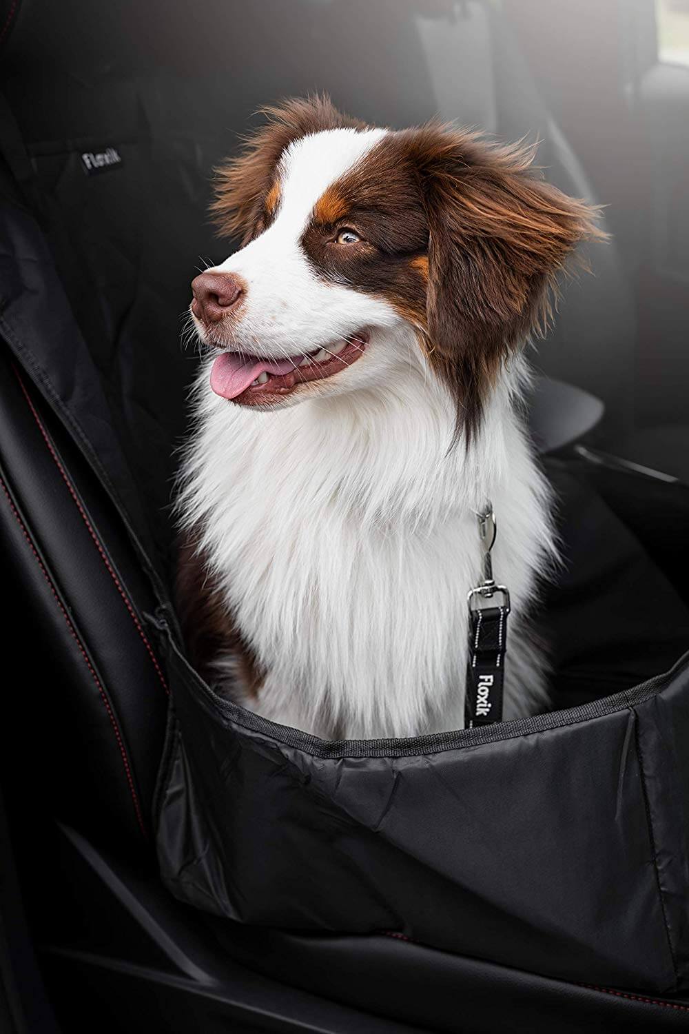 Floxik Hunde Autositz 2in1 - Floxik Premium Hundeprodukte