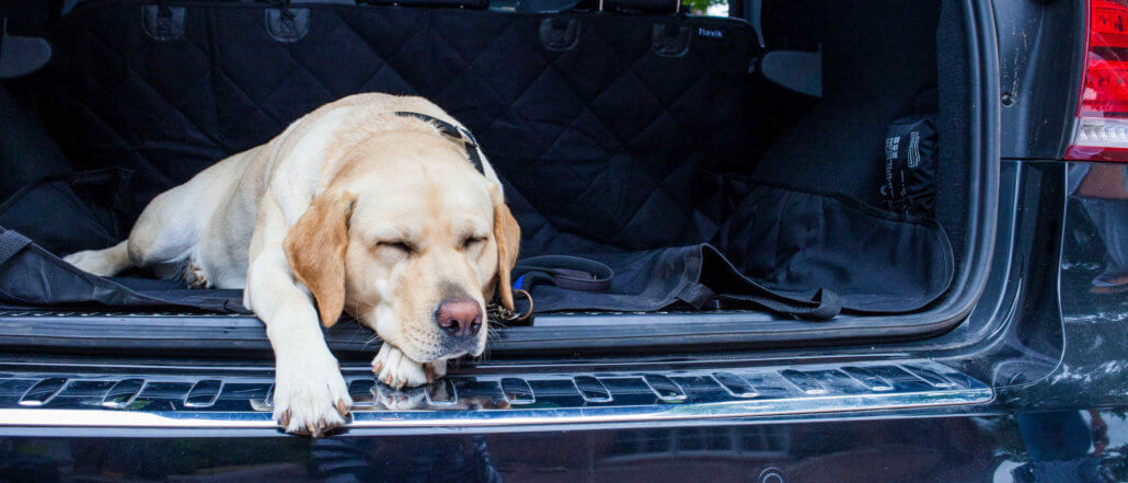 Hund im Auto: Hundetransport-Systeme