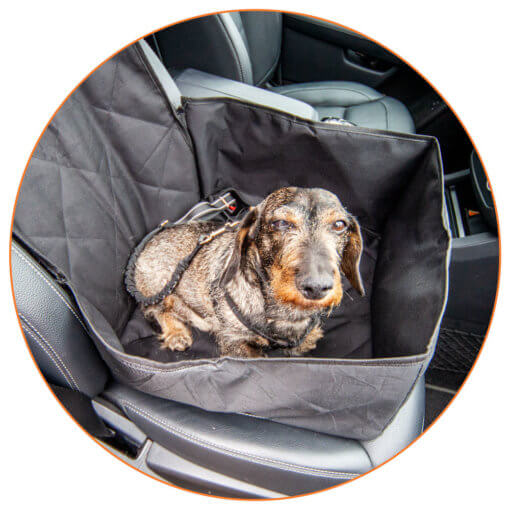 Floxik Hunde Sicherheitsgurt – Bild 3