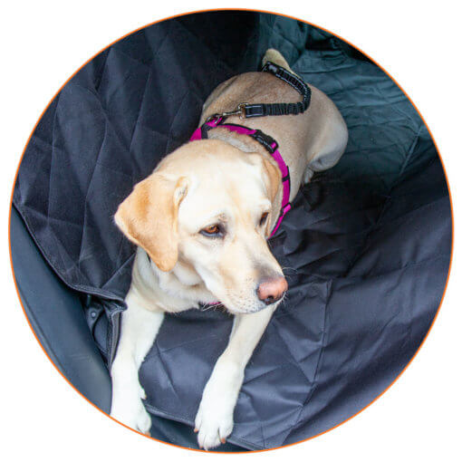 Floxik Hunde Sicherheitsgurt – Bild 2