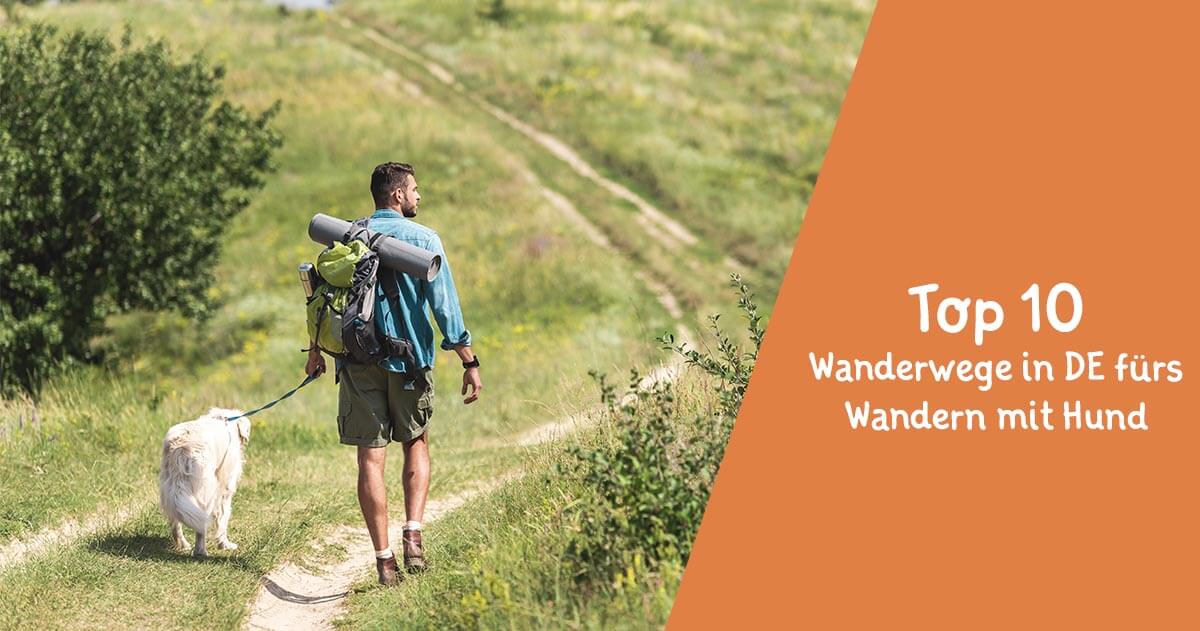 Wandern mit Hund Die Top 10 Wanderwege in Deutschland Floxik