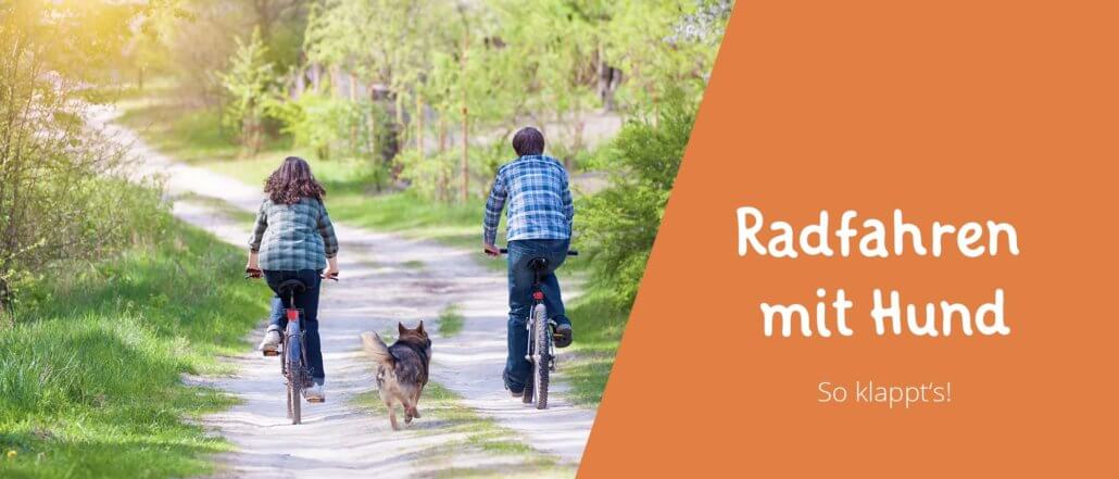 Titelbild Blogbeitrag Fahrrad fahren mit Hund