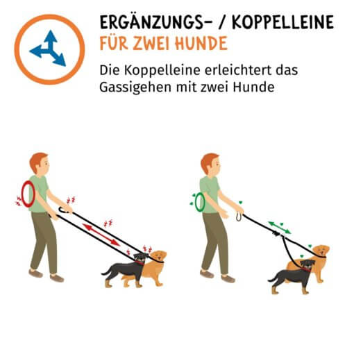 Floxik Doppelleine Komplett-Set – Bild 4