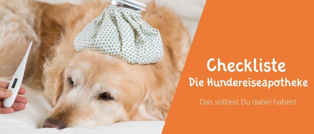 Blogbeitragsbild Die Hundereiseapotheke - unsere Checkliste