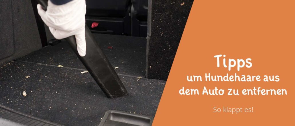 Blogbeitragsbild für Artikel Tipps um Hundehaare im Auto zu entfernen