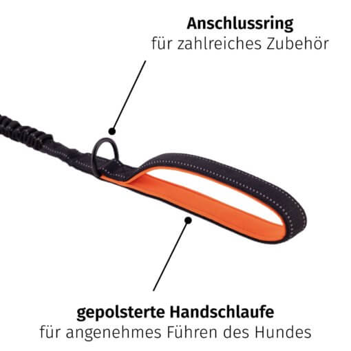 Floxik Hundeleine elastisch – Bild 3