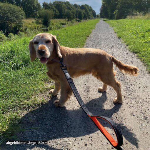 Floxik Hundeleine elastisch – Bild 6