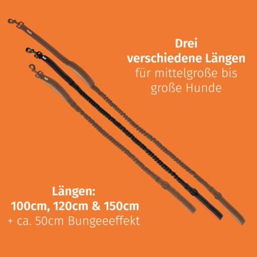 Floxik Hundeleine elastisch – Bild 4