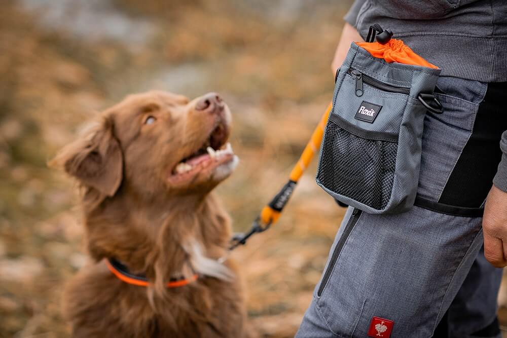 Hundekekse selber machen