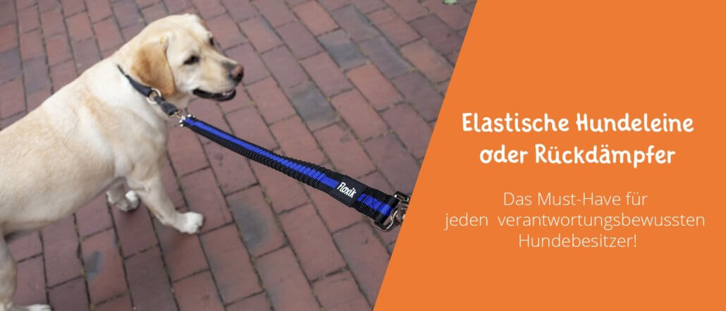 Elastische Hundeleine