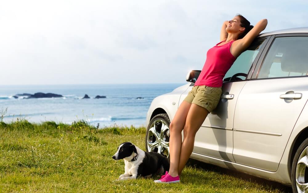 Autofahren mit Hund - wenn der Hund Probleme mit dem Autofahren hat