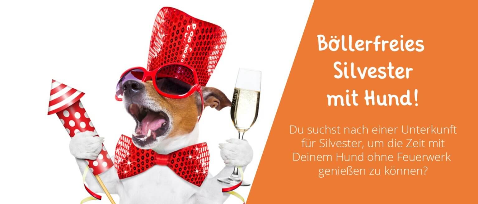 Silvester mit Hund ohne Feuerwerk hier