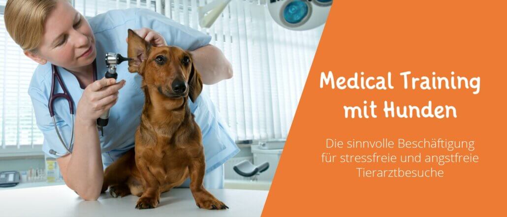 Medical Training mit Hunden