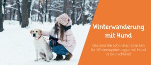 Winterwanderung mit Hund