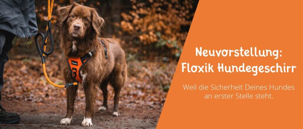 Floxik Hundegeschirr