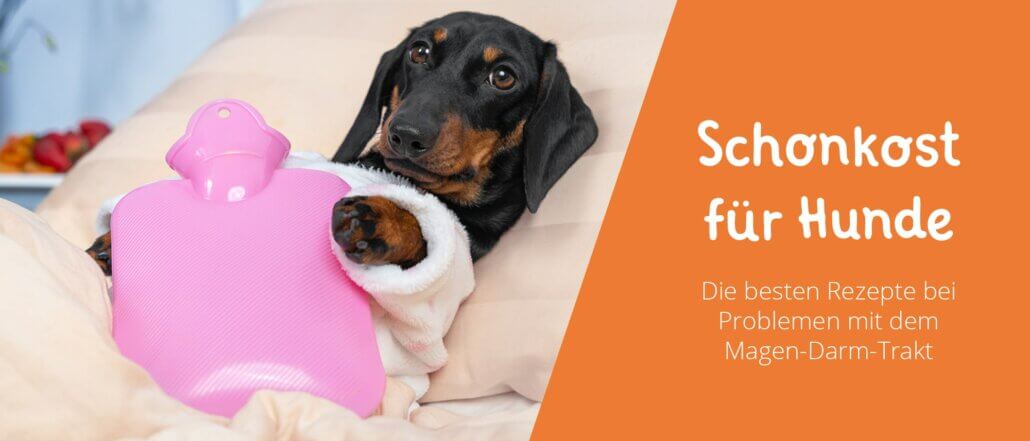 Schonkost für Hunde