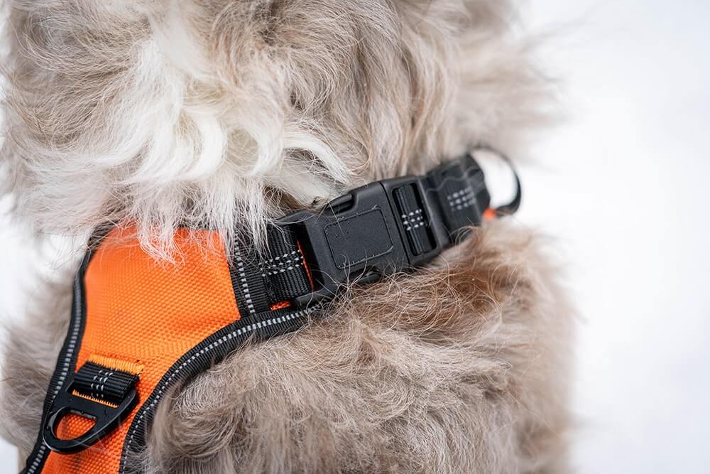 Floxik Hundegeschirr mit zusätzlichem Verschluss am Hals