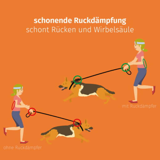Floxik Ruckdämpfer elastisch – Bild 6