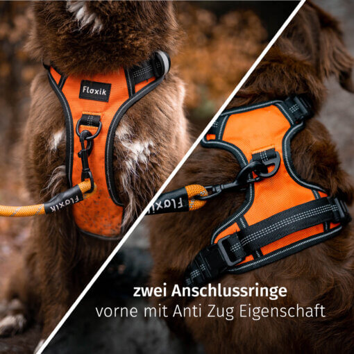 Floxik Hundegeschirr grau – Bild 5