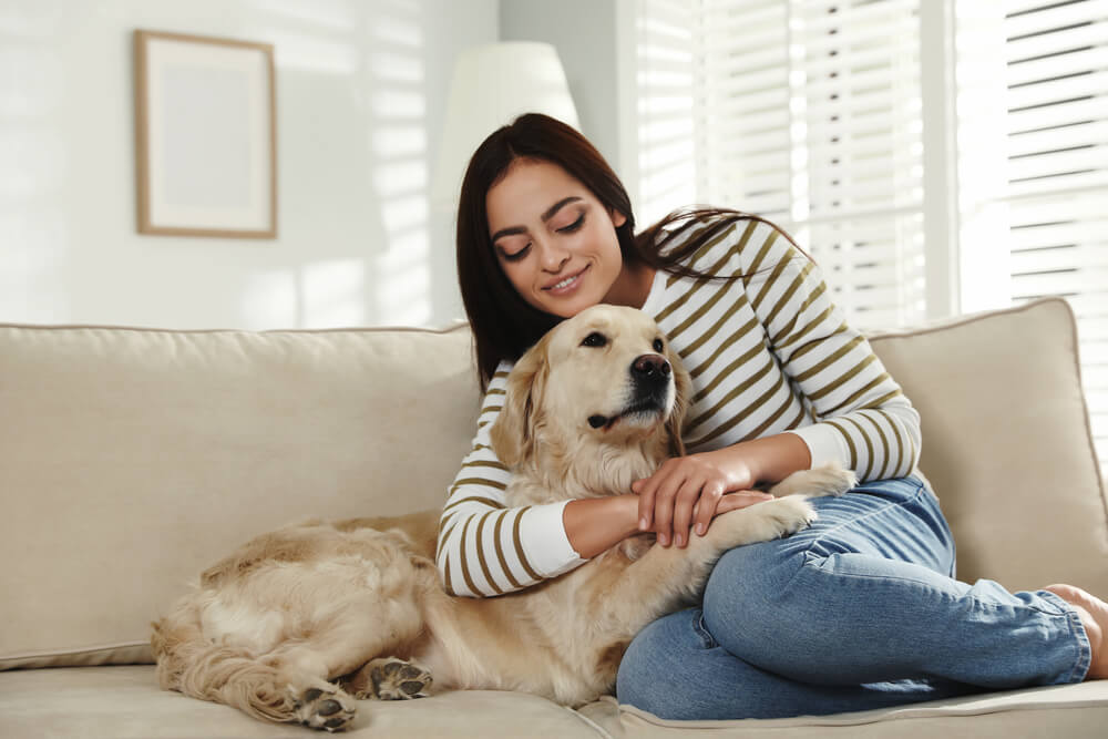 Hundeerziehung: Dürfen Hunde auf Sofa oder ins Bett?