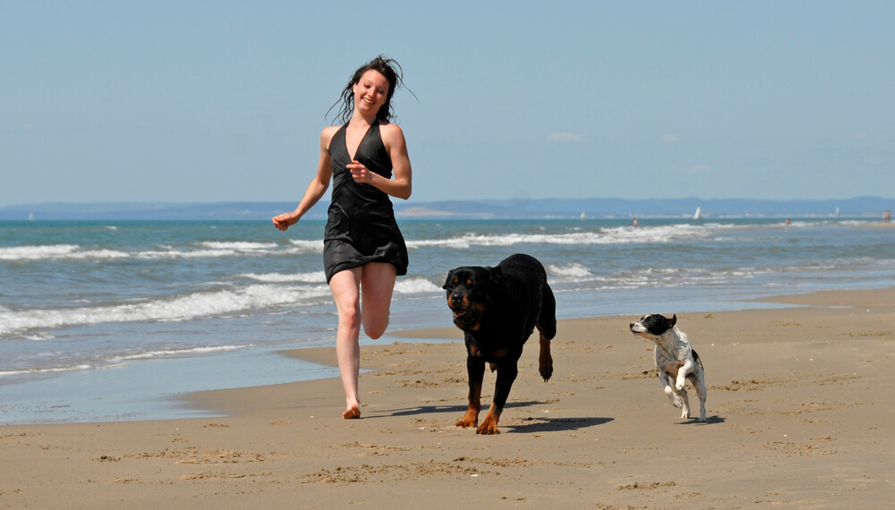 Urlaub mit Hund im Ausland: Nebensaison