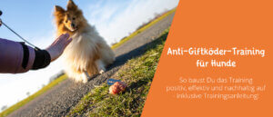 Anti Giftköder Training für Hunde