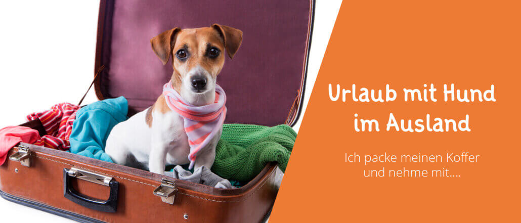 Urlaub mit Hund im Ausland