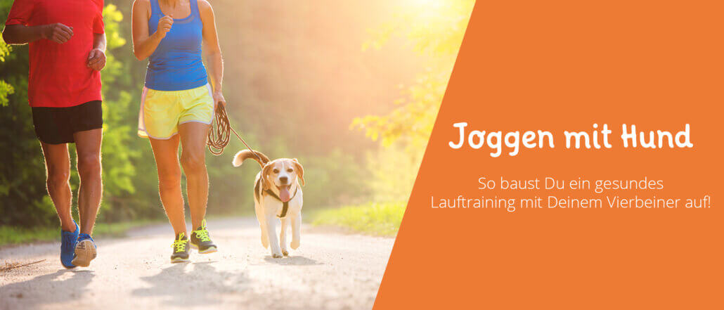 Joggen mit Hund