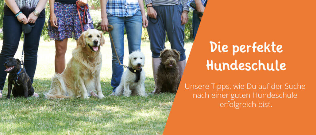 Hundeschule Banner