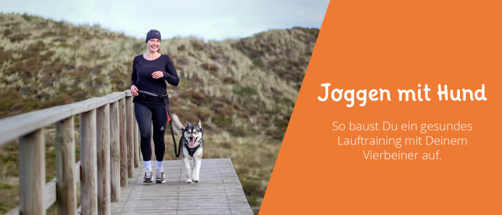 Joggen mit Hund