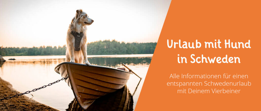 Urlaub mit Hund in Schweden