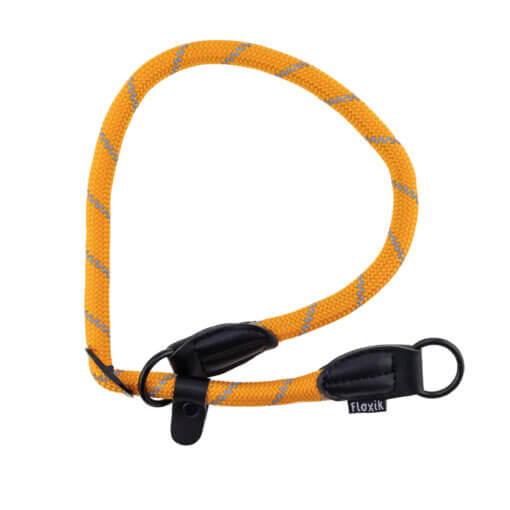 Floxik Retrieverhalsband orange