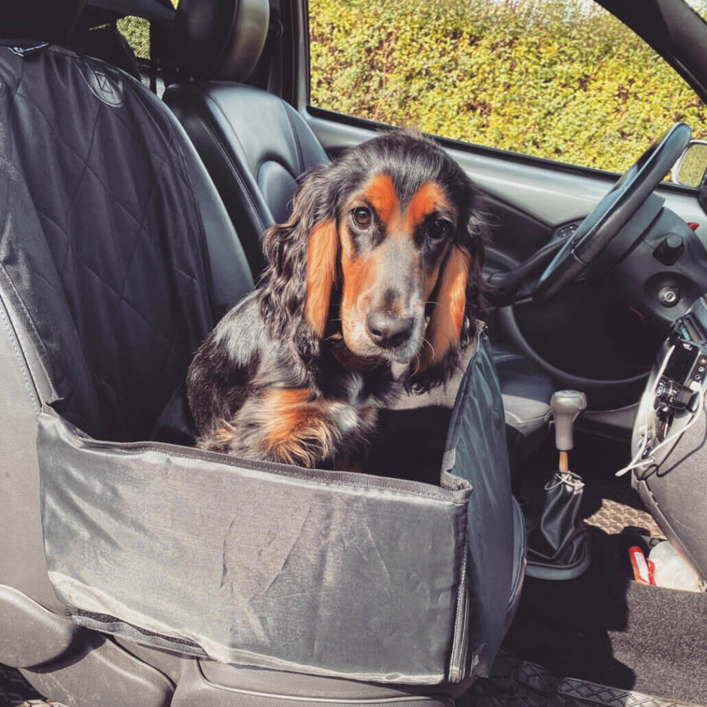 Floxik Hunde Autositz 2in1 - Floxik Premium Hundeprodukte