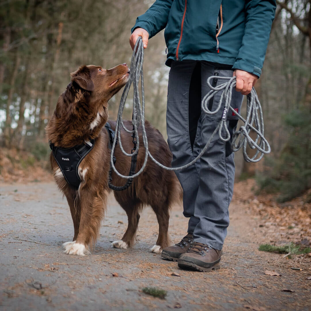 Floxik Schleppleine grün – Bild 9