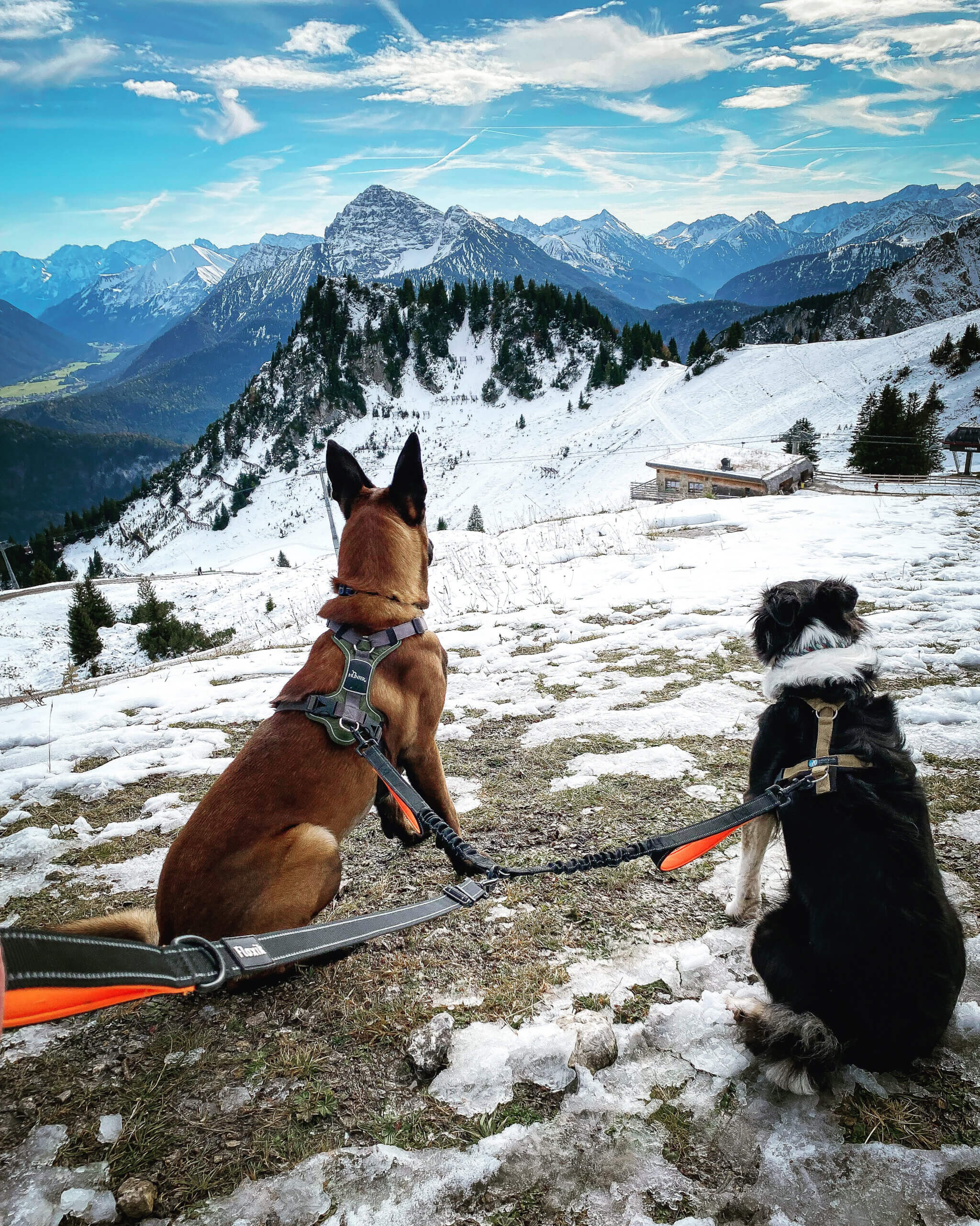 Doppelleine zum Wandern