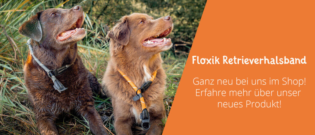 Floxik Retrieverhalsband