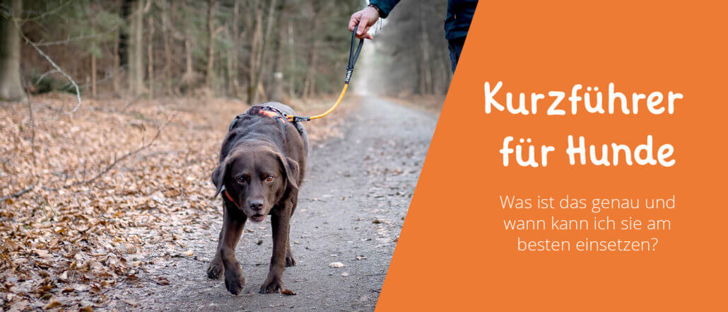 Kurzführer für Hunde