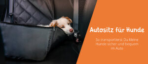 Autositze für Hunde