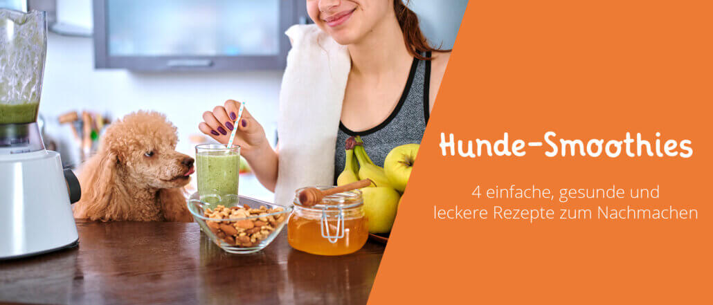 Hunde-Smoothies selber machen Rezepte