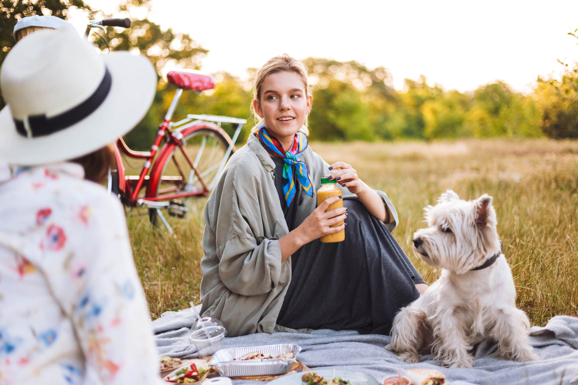 Warum Hund Hunde-Smoothies geben?