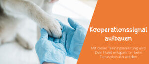 Kooperationssignal aufbauen Hund