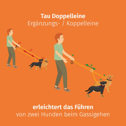 Floxik Tau Doppelleine orange – Bild 4