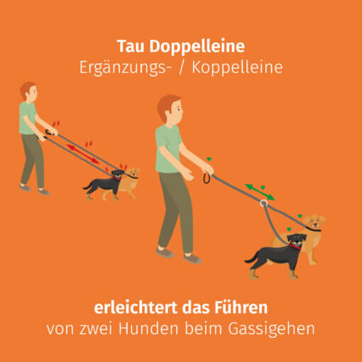 Floxik Tau Doppelleine grau – Bild 4