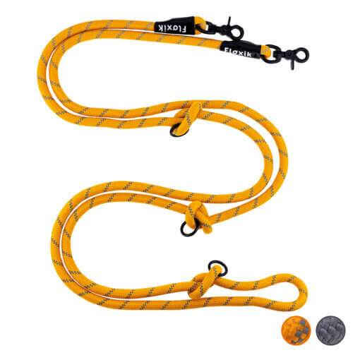 Floxik 3m Tau Führleine orange