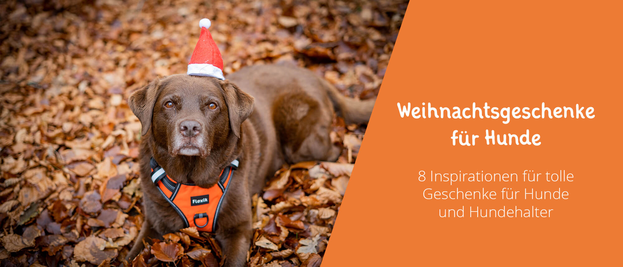 Floxik Premium Führleine Hund | Hundeleine 3m Verstellbar - Tauleine