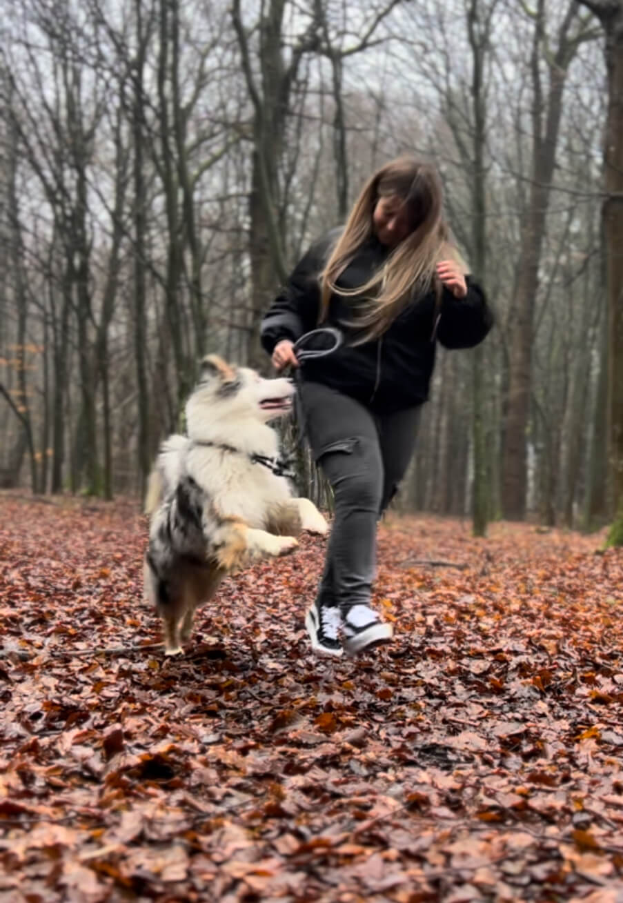 Spaß auf dem Spaziergang mit Hund