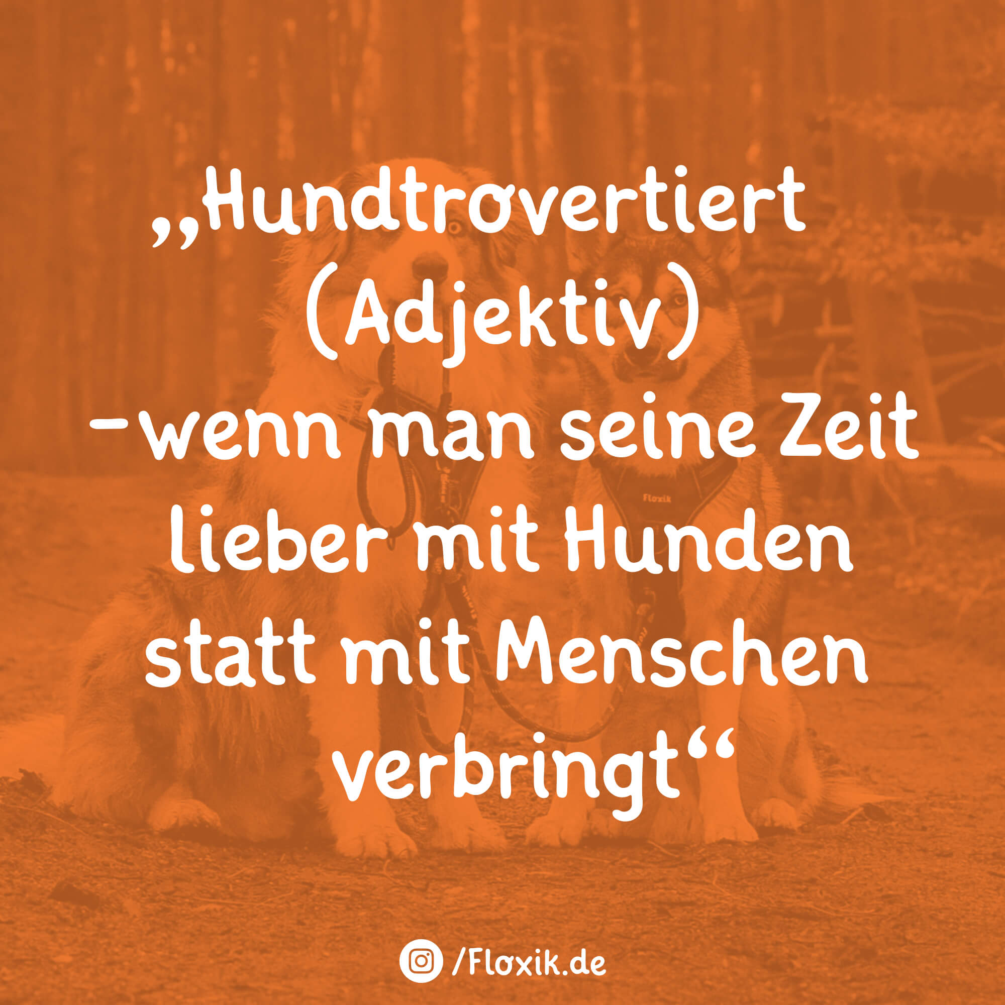 Die schönsten Hundersprüche der Welt