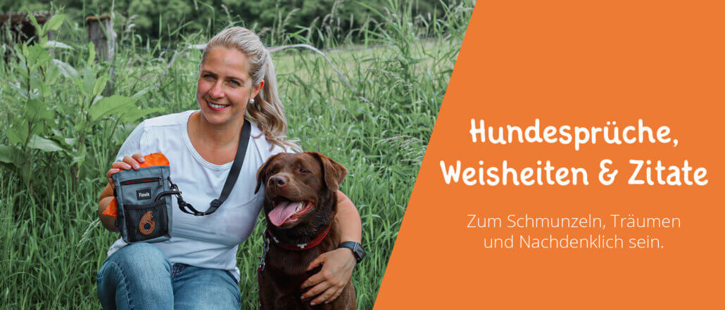Hundespruch Zitate Weisheiten Hunde
