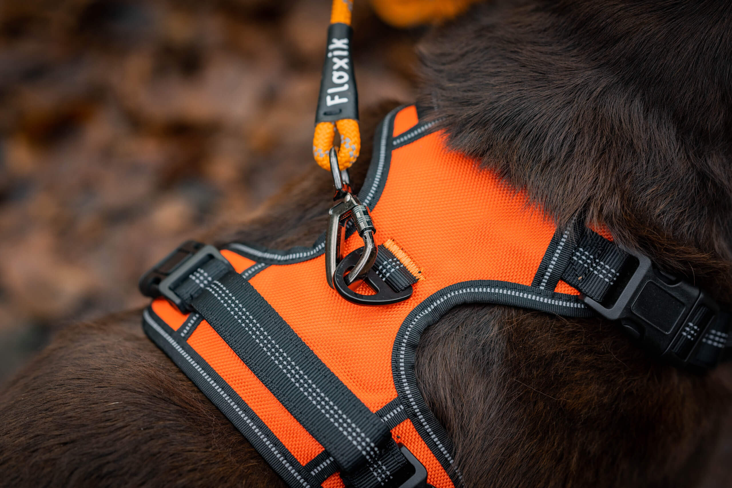 Sicherheitskarabiner Leinenkarabiner