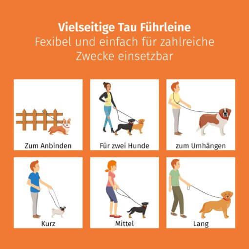 Floxik 3m Tau Führleine grün – Bild 4